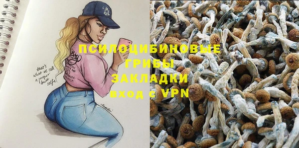 дмт Гусь-Хрустальный