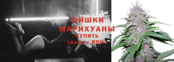 мет Гусев