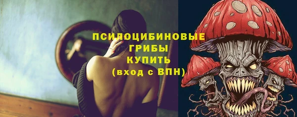 дмт Гусь-Хрустальный